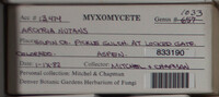 Image Associated With the Occurence